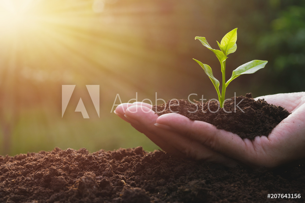AdobeStock_207643156_Preview